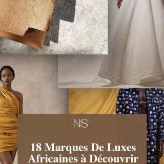 Comprendre et Traiter la Chute des Cheveux Crépus et Défrisés